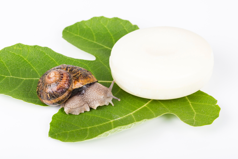 Les savons à la bave d'escargot