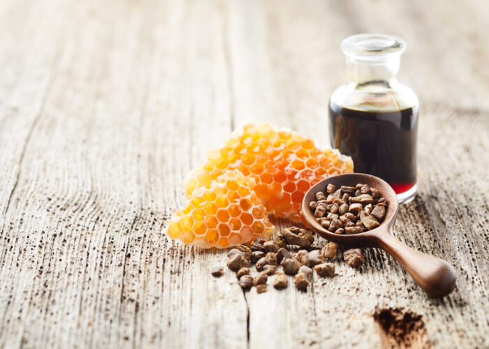 Les bienfaits insoupçonnés de la propolis sur l’organisme