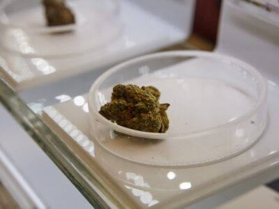 Résines de CBD et douleurs chroniques