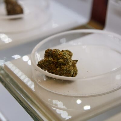 Résines de CBD et douleurs chroniques