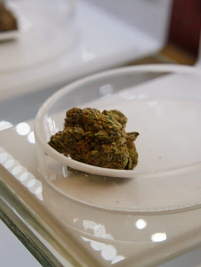 Résines de CBD et douleurs chroniques