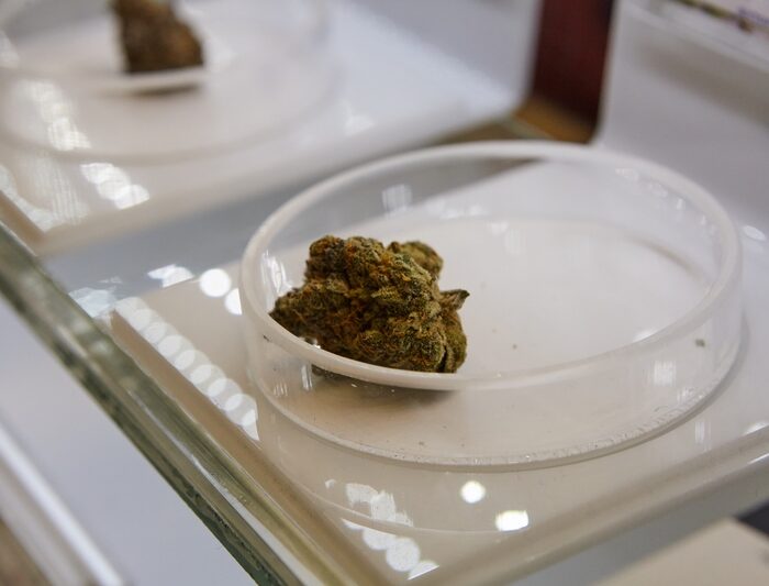 Résines de CBD et douleurs chroniques