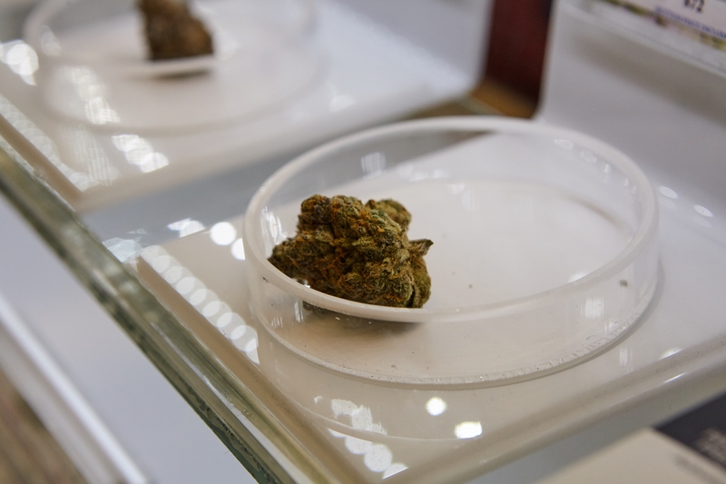 Résines de CBD et douleurs chroniques